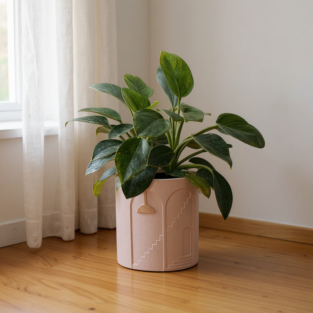 Architectural Concrete Planter