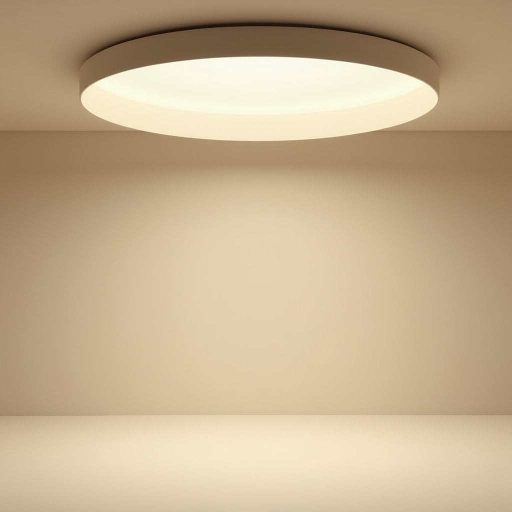 Onda Curved Ceiling Light