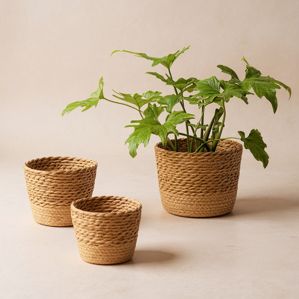 Handled Seagrass Basket